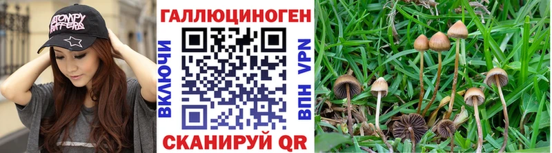 Галлюциногенные грибы Cubensis  Давлеканово 
